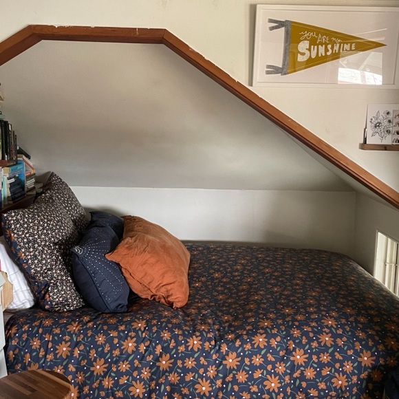 Anthropologie Agnes Queen Duvet and Shams - Picture 5 of 10